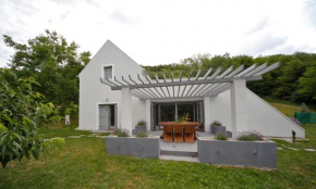 SárgaRigó Holiday Home, Káptalantóti